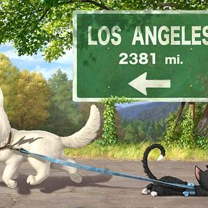 Bilder Chris Williams