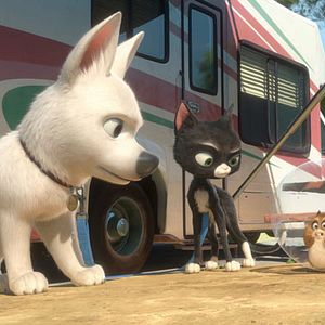 Bilder Chris Williams