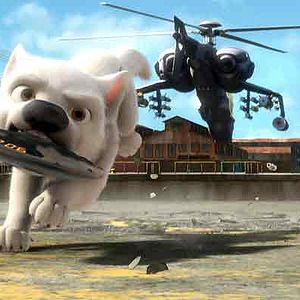 Bilder Chris Williams