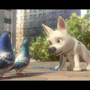 Bilder Chris Williams