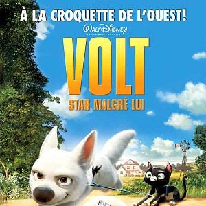 Bolt Ein Hund für alle Fälle Bilder und Fotos FILMSTARTS.de