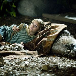 Bilder Die Insel der Abenteuer