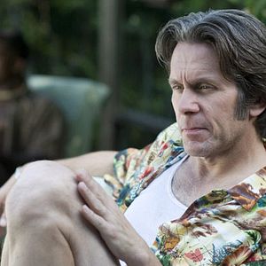 Bilder Ananas Express