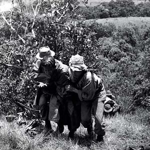 Bilder Die 317. Sektion