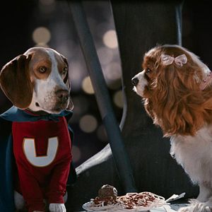 Bilder Underdog