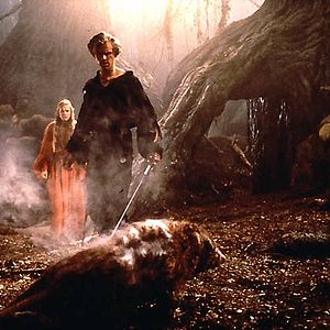 Bilder Die Braut des Prinzen