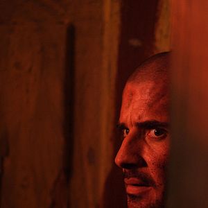 Bilder Dominic Purcell