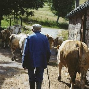 Bilder Modernes Leben