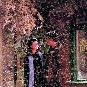 Bilder David Sutcliffe