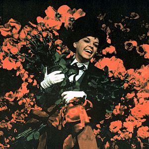 Bilder Ein neuer Stern am Himmel