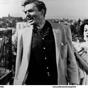 Bilder Ein neuer Stern am Himmel