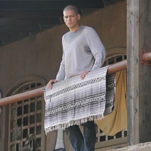 Bilder Wentworth Miller