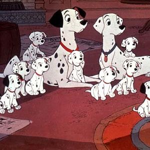 Bilder 101 Dalmatiner