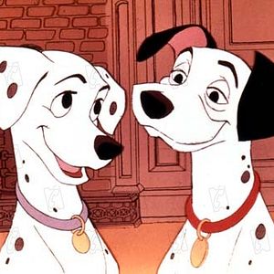 Bilder 101 Dalmatiner