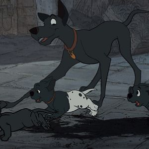 Bilder 101 Dalmatiner