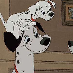 Bilder 101 Dalmatiner