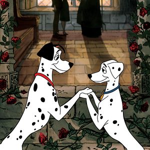 Bilder 101 Dalmatiner