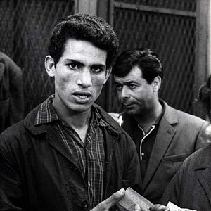 Bilder Gillo Pontecorvo