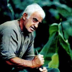 Bilder Jean-Paul Belmondo