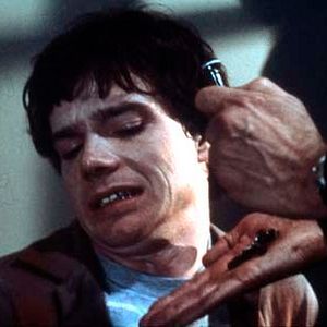 Bilder Damiano Damiani