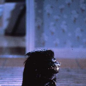 Bilder Stephen Herek