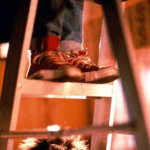 Bilder Kristine Peterson