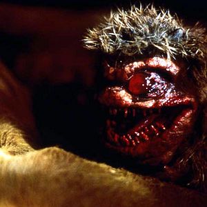 Bilder Critters 2 - Sie kehren zurück