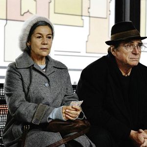 Bilder Kirschblüten - Hanami