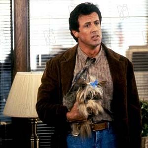 Bilder Stop! Oder meine Mami schießt