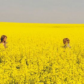 Bilder Frei nach Plan