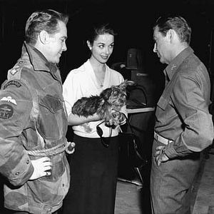 Bilder Robert Taylor