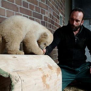 Bilder Knut und seine Freunde