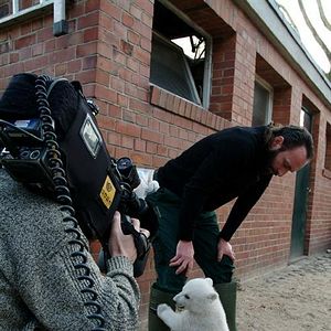 Bilder Knut und seine Freunde