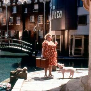 Bilder George Miller