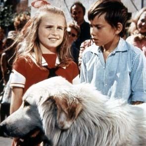 Bilder Mehdi El Glaoui