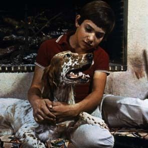 Bilder Mehdi El Glaoui