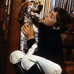 Bilder Mehdi El Glaoui