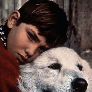 Bilder Mehdi El Glaoui