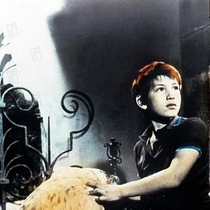 Bilder Mehdi El Glaoui