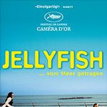 Bilder Jellyfish