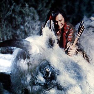 Bilder Der weiße Büffel