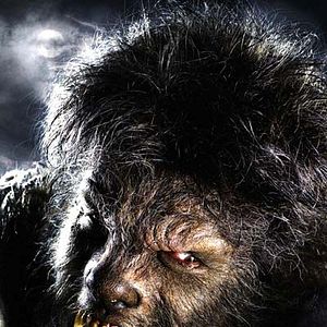 Bilder Benicio Del Toro