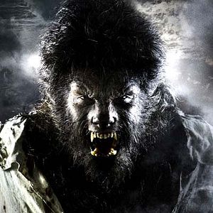 Bilder Benicio Del Toro