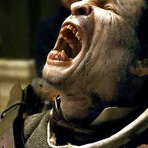 Bilder Benicio Del Toro