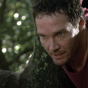 Bilder Andrew Traucki