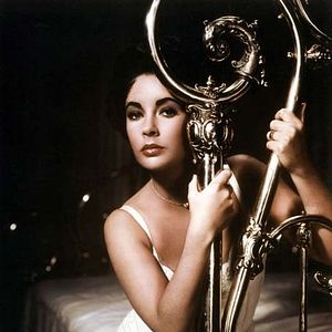 Bilder Die Katze auf dem heißen Blechdach