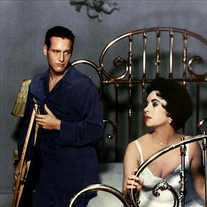 Bilder Die Katze auf dem heißen Blechdach