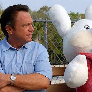 Bilder Das Jahr, in dem wir uns kennenlernten