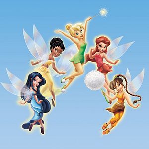 Bilder Bradley Raymond