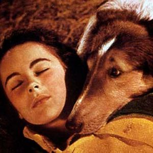 Bilder Fred M. Wilcox